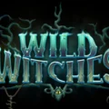Wild Witches