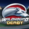 Wildhound Derby