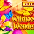 Wildwood Wonders