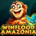 Winflood Amazonia