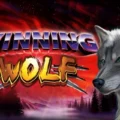 Winning Wolf