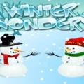 Winter Wonders