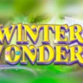 Winter Wonders
