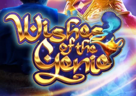 Wishes of the Genie