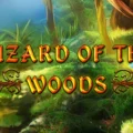 Wizard of the Woods