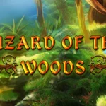 Wizard of the Woods