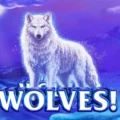 Wolves! Wolves! Wolves!