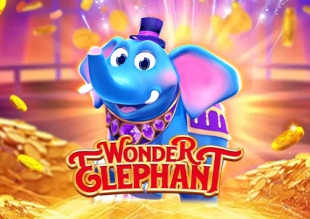 Wonder Elephant