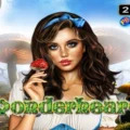Wonderheart