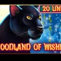 Woodland of Wishes
