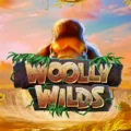 Wooly Wilds