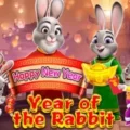 Year of the Rabbit