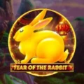 Year of the Rabbit