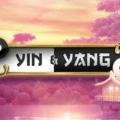 Yin & Yang