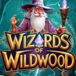 Wizards of Wild Wood