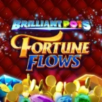 Brilliant Pots – Fortune Flows