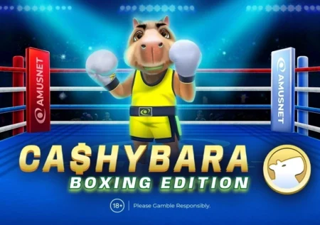 Cashybara Boxing Edition