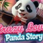 Crazy Love Panda Story