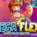 Mega Flex: Hold & Win