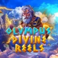 Olympus Divine Reels