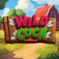Wild Cock