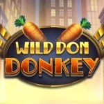 Wild Don Donkey