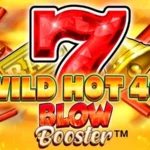 Wild Hot 40 Blow Booster